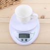 Portable Digital LED Electronic Scales