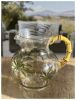 3 Quarts Water Pitcher with Lid