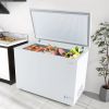 Deep Freezer with 7-Level Adjustable Temperature